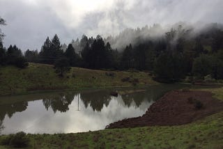 Pond Farm Chronicles…Wrap-Up