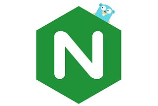 NGINX as a reverse proxy with the Golang app