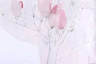 Magnolija / 2008.