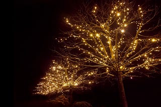 Thousands of little lamps on naked tree branches in a winter night. Golden light. Looks like the little lanterns are dancing with the trees.