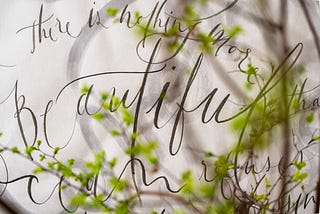 Beautiful in The Fade, Reflections, and Gifts In Between