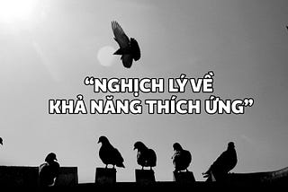 Giải quyết ‘nghịch lý về khả năng thích ứng’ trong dài hạn.