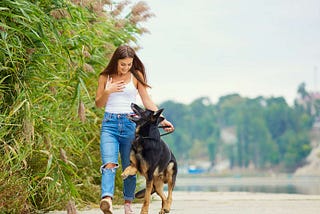 Dog Obedience Training Importance