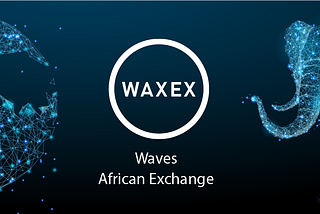 WAXEX, Africa’s digital gateway