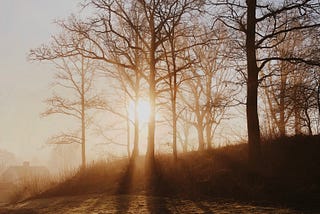 a poem for the winter solstice