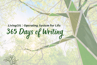 What I Learned from 365 Days of Writing and Publishing Online