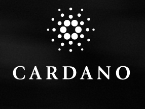 On the Origin of Cardano
