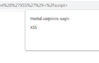 Reflective XSS Vulnerability: Impact, Remediation, and Proof-of-Concept