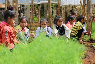 Healthy little seeds for strong little bodies