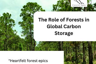 The role of forests global carbon storage