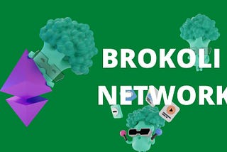 Unique Features About Brokoli Network