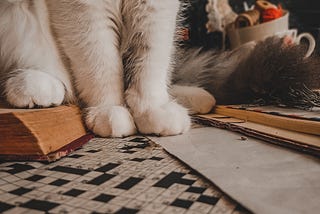 A crossword with a cat on it. I don’t own a cat FYI.