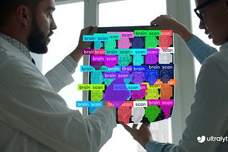 Brain scan segmentation using Ultralytics YOLO11