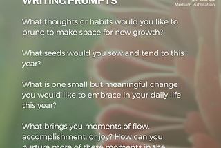 Regenerative Spiral: Jan 2025 Update, and Writing Prompts