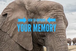 A photo of a lone elephant, two other elephants are in the background.