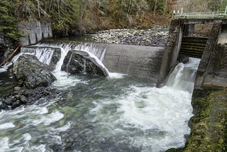 The Middle Fork Nooksack River Fish Passage Project will benefit people, fish, and orcas