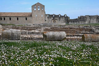 Daisies, Sunshine and Venosa