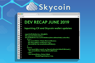 Skycoin Development Recap | June 2019
