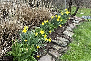 Anxiously Waiting to Get the Garden Started-It’s Been a Cold Wet Spring