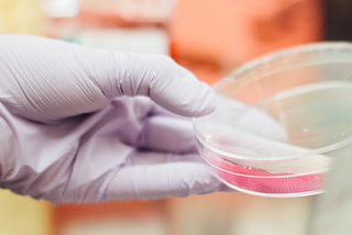 Software testing is like clinical trials