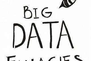 The Little Book of Big Data Fallacies