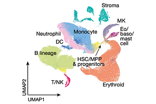 Visualization in Single Cell Data Analysis