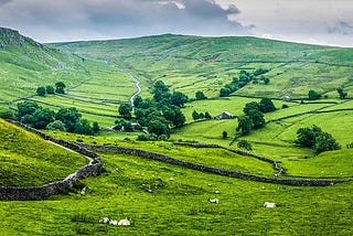 Picture of pastoral meadows and Yorkshire landscape with sheep in foreground