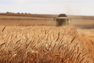 Feeding Tomorrow’s World — Creating a Blockchain-powered Agriculture platform