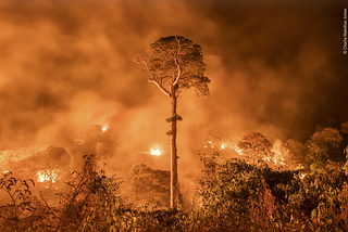 What is the biggest challenge the institutional governance of emissions from deforestation and…
