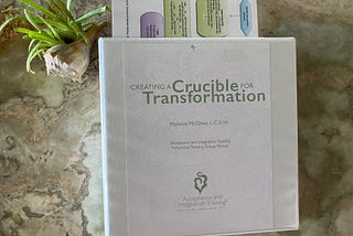 Creating A Crucible For Transformation