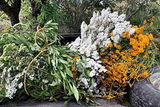 The back of a tuck with flowers from the campos of Santiago Matatlán in two bunches.