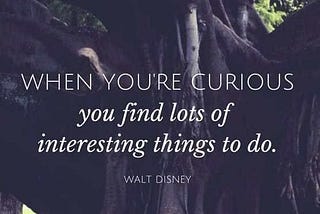 Look with Curiosity