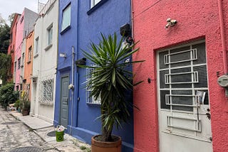 My Pottery Adjacent Life