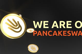 End of the presale and launch on PancakeSwap (Next steps, holders wallets)