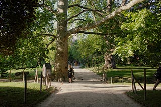 The Public Bookcase in a Paris Park