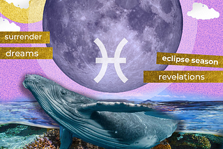 Starcodes Sept 13, 2024 \