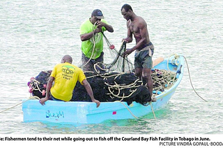 Tobago’s Climate Change Response as the Sister Isle of a Caribbean SIDS