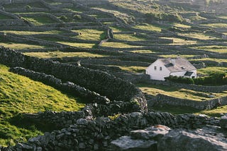 The Irish Disappeared: Fathers, Mothers, Sons, Friends, and Cousins