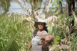 Como ribeirinhos do Xingu estão alimentando a periferia de Altamira com produtos da floresta