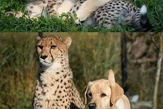 The beauty of Sustainable Friendships