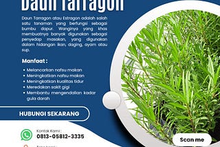 Jual Tarragon Terbaik: Beli Sekarang! , WA 0813–5812–3335,Myrra Residence