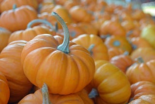 13 Pieces of Spooky Media to get You into the Halloween Spirit