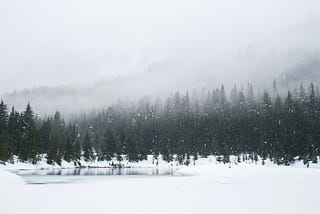 Winter forest. Snowfall over trees with a lake in the foreground.