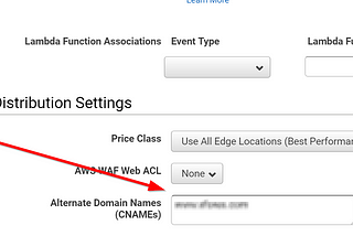 CloudFront Domain Hijacks under Attack