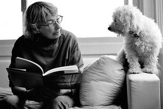 Gansos Selvagens, poema de Mary Oliver