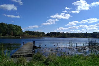 How to Stop Algal Blooms: Volunteer Power