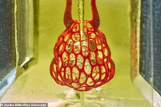 3D PRINTING TECHNOLOGY: ORGAN VESSELS.