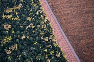 An Overview of Land Sparing vs. Land Sharing in Brexit Britain