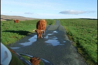 English road trip through Yorkshire Dales