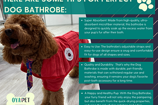 Say goodbye to soggy fur and wet pawprints with the Dog Bathrobe!